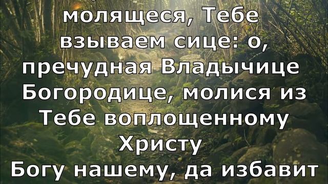 8 сентября. Владимирской иконы Божией Матери. (Текст) 2019 смотреть онлайн