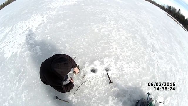ЩУКА ЗИМОЙ! Ловля щуки по последнему льду на поставухи Щука на жерлицы Щука зимой Ловля на малька смотреть онлайн