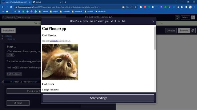 (1) 1/69 - Learn HTML by building a cat Photo App - Responsive Web Design смотреть онлайн