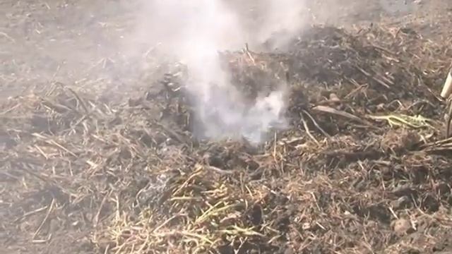 За костер на садовом участке грозит штраф смотреть онлайн