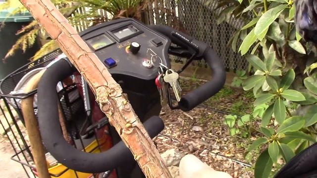 CCSF OH53 Care of Rhododendrons смотреть онлайн