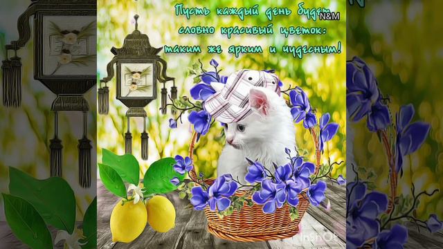 Приветик! Мне сегодня весело с самого утра. смотреть онлайн