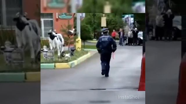 Надо меньше пить😂 смотреть онлайн