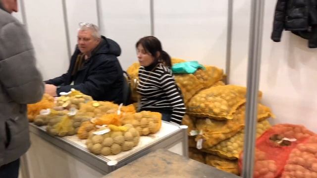 Гибрид : вишня / черешня, картошка- семена ! смотреть онлайн