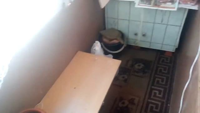 Огурцы на балконе 2019год смотреть онлайн