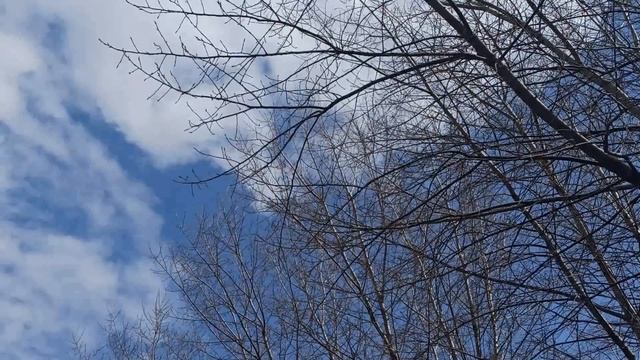 2 мая народный праздник День Иоанна. Народные приметы и традиции. Что можно и нельзя делать. смотреть онлайн