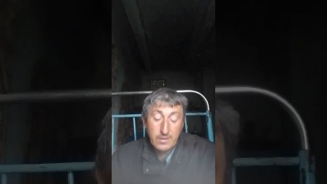 стих мне твои поцелуи, незабыть никогда.. смотреть онлайн