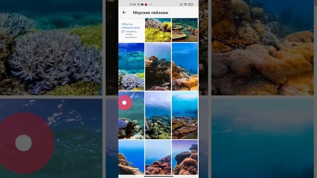 Мобильное приложение Google Обои - Лучшее приложение обоев смотреть онлайн