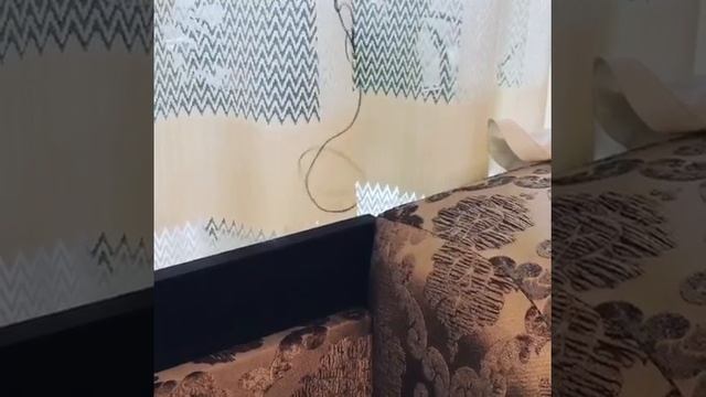 ЖИВОЙ ВОЛОС ИЗ РЕКИ ТОБОЛ. смотреть онлайн