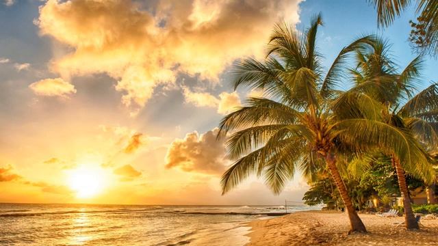 ? Король Оранжевое лето ? смотреть онлайн