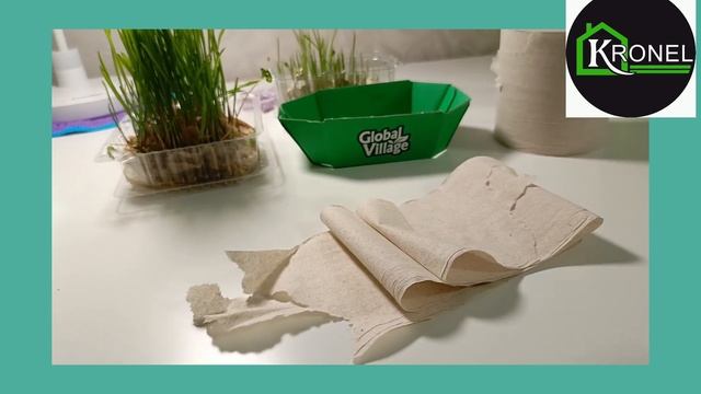 Корм для крысы своими руками. # корм #крыса #дамбо #пшеница #diy смотреть онлайн