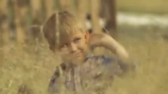 VOROBEY ROLIK 2 WM9 512