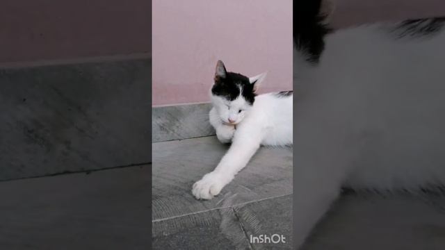 Она такая милая смотреть онлайн