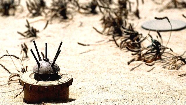 Это интересно. Высшую награду страны в Британии вручили крысе смотреть онлайн