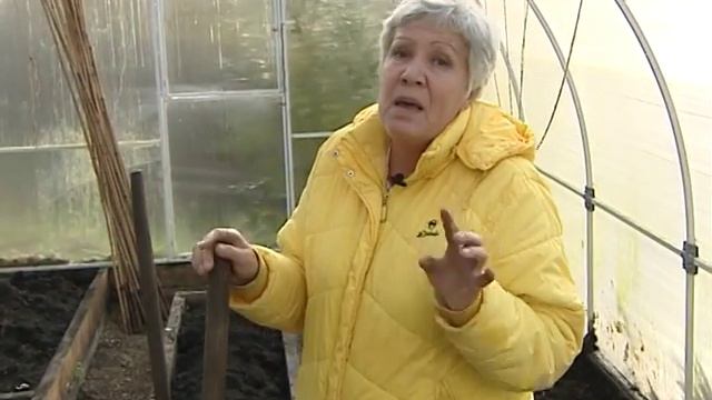Советы тети Тани. Как справиться с плесенью в теплице. смотреть онлайн