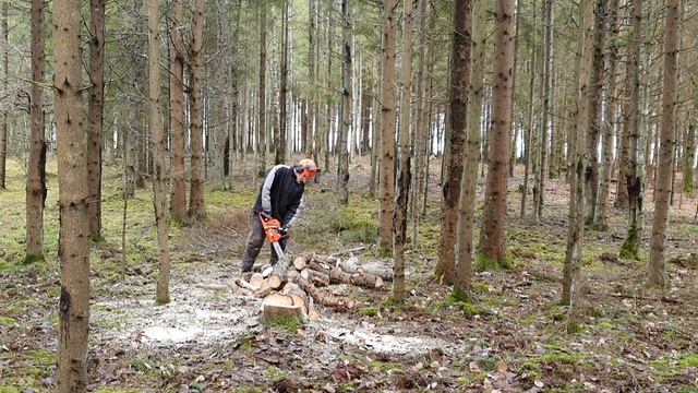 Husqvarna Chainsaw 545 AutoTune Felling, Pruning and Bucking Operations смотреть онлайн