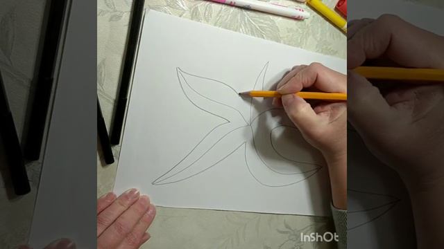 Морская звезда смотреть онлайн