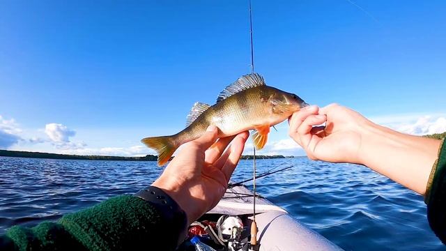 Ловля окуня и голавля на байдарке осенью Иваньковское водохранилище смотреть онлайн