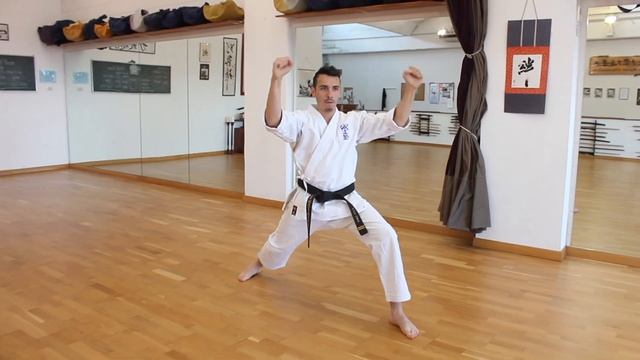 Seido Karate Italy - Tecniche offensive e difensive di Kata смотреть онлайн