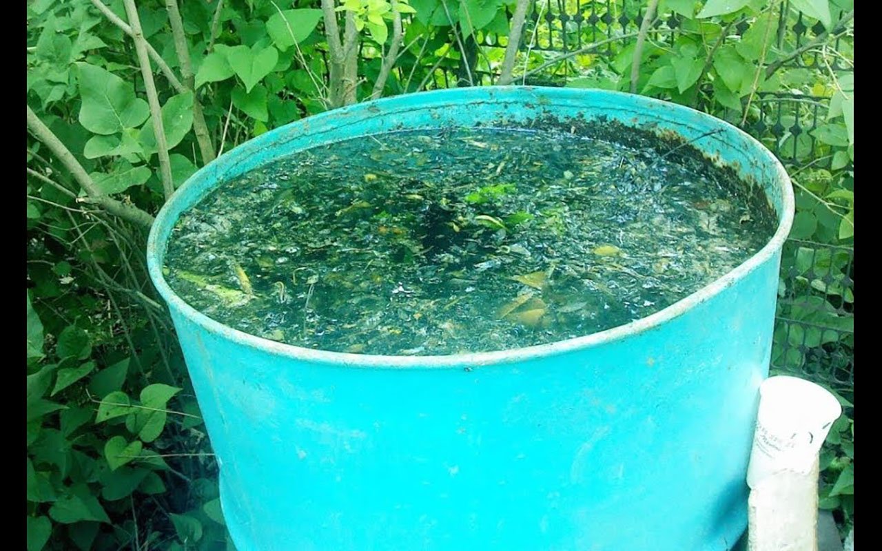 Как быстро избавиться от любого сорняка и травы За 3 Секунды!!! смотреть онлайн