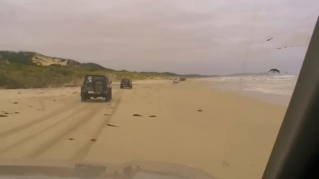 Best Of Nissan Xtrail T31