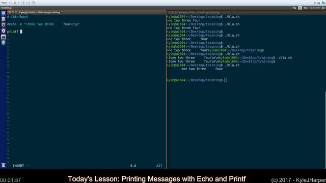 Printing Messages with Echo and Printf смотреть онлайн