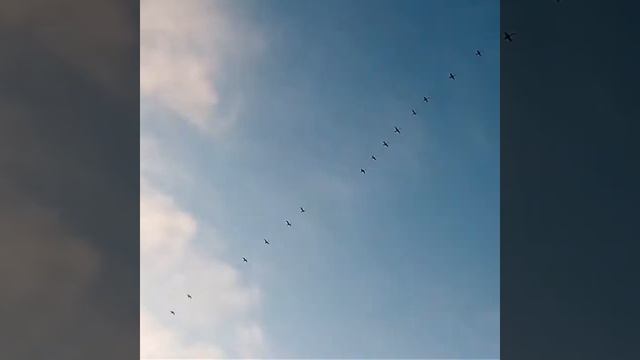 Перелет гусей смотреть онлайн