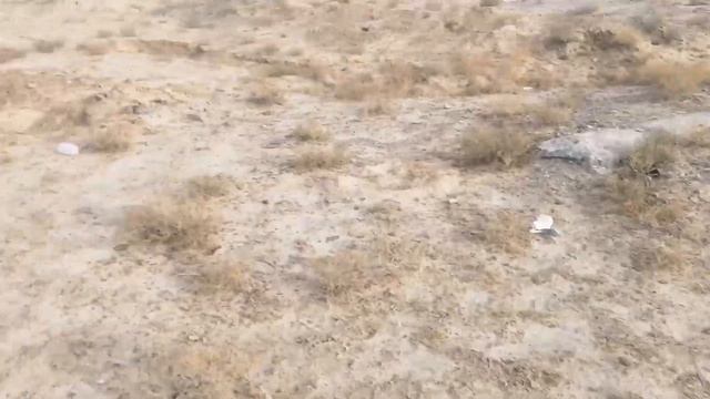 мыс, темірді қайдан таптық?! смотреть онлайн