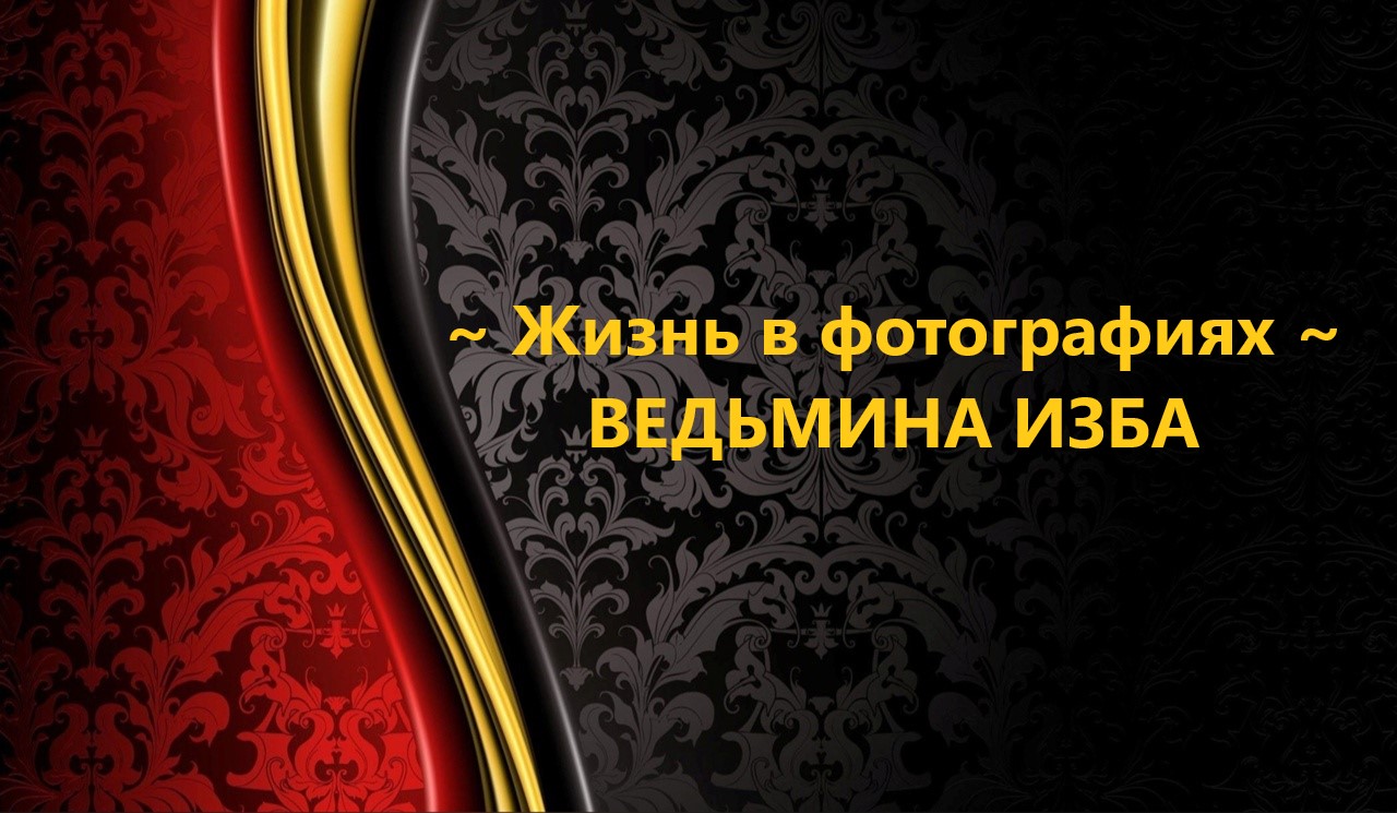 ЖИЗНЬ В ФОТОГРАФИЯХ..АВТОР: ИНГА ХОСРОЕВА смотреть онлайн