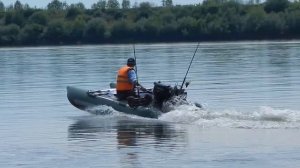 Катамаран с мотором.