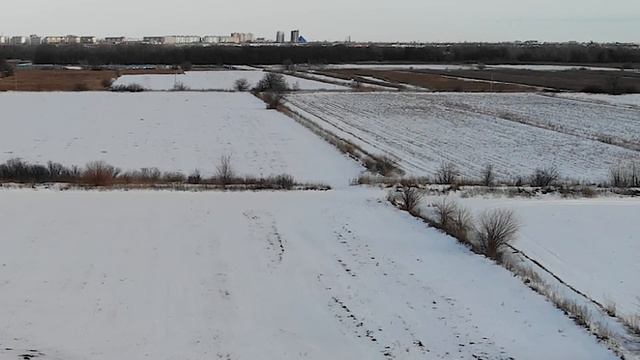 Сколько стоит коровник построить? смотреть онлайн