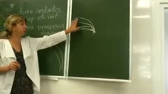 Шейное сплетение смотреть онлайн