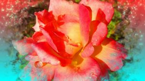 Футаж. Цветочный фон 154