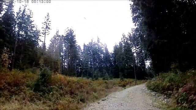 Steam Donkey, Maple Ridge, BC. 10/17/2020 смотреть онлайн