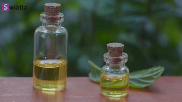 las 10 Hierbas para Tranquilizar los Nervios y la Ansiedad смотреть онлайн