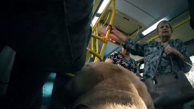 Guide Dog Friendly: Собака-поводырь в автобусе смотреть онлайн