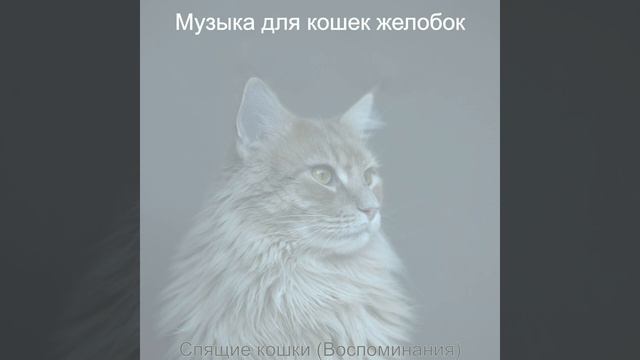 Звуки (Котята)