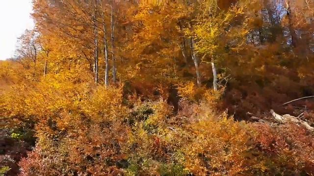 Роза Хутор. Канатная дорога. Заповедный лес - Роза Пик. Октябрь 2017 смотреть онлайн