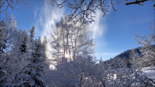 Волшебство Рождества! Стихи смотреть онлайн