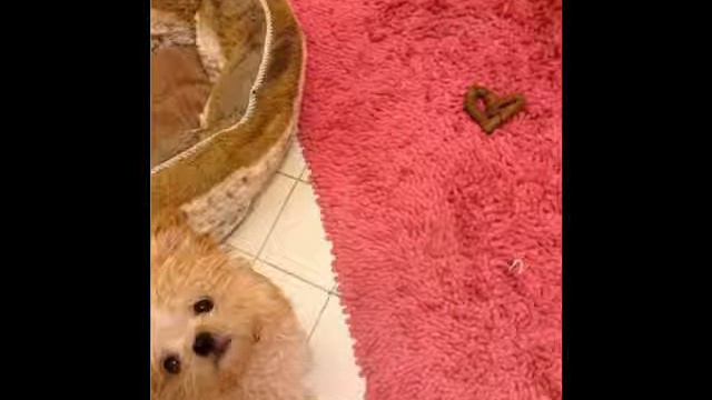 Да что ты знаешь о наглости.... смотреть онлайн