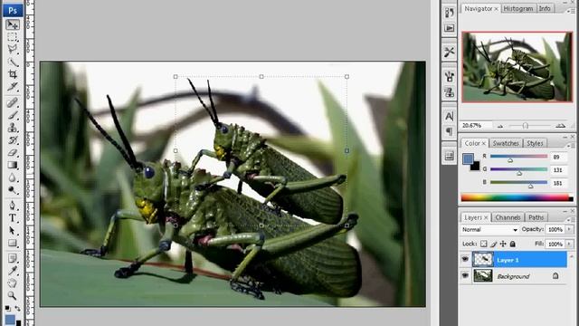 Working with Layers - Photoshop CS3 смотреть онлайн