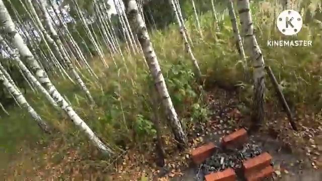 День рождения Доченьки! смотреть онлайн