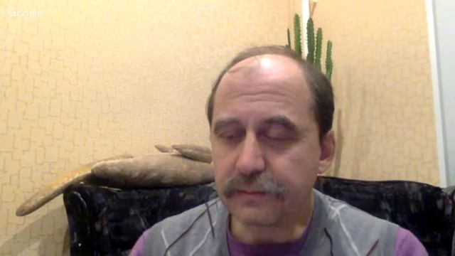 биология 6 класс смотреть онлайн