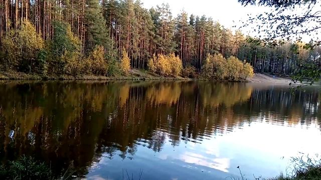 Загрузки добра, здоровья, радости, изобилия всех благ по истинному замыслу Создателя смотреть онлайн