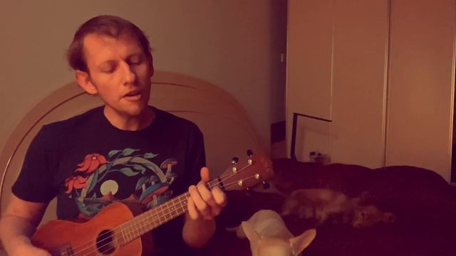 “School” (nirvana cover) смотреть онлайн