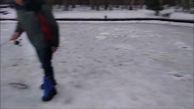 Новогодний клёв продолжается. Клёвое место, Лосиный остров, спорт-зона. смотреть онлайн