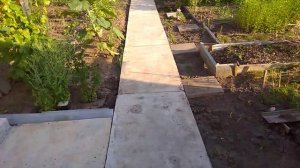 бетонная дорожка своими руками