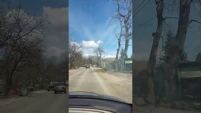 Жаль, что мудрость приходит..с... #философия #мудрость смотреть онлайн