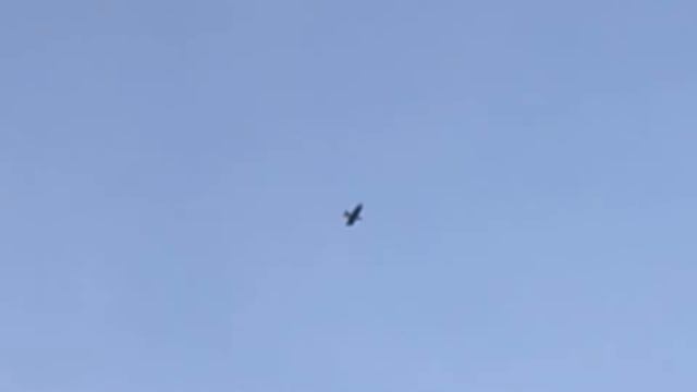 Орел фрагмент смотреть онлайн