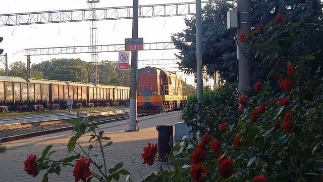 чмэ3 2595 производит маневры на станции Староминская Тимашевская смотреть онлайн